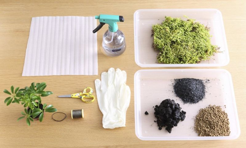 chuẩn bị vật dụng làm kokedama